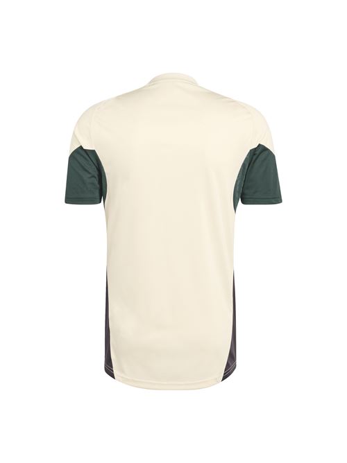 Adidas juventus maglia training europa 25/26 Juventus | JN7472JUV EU TR JSY